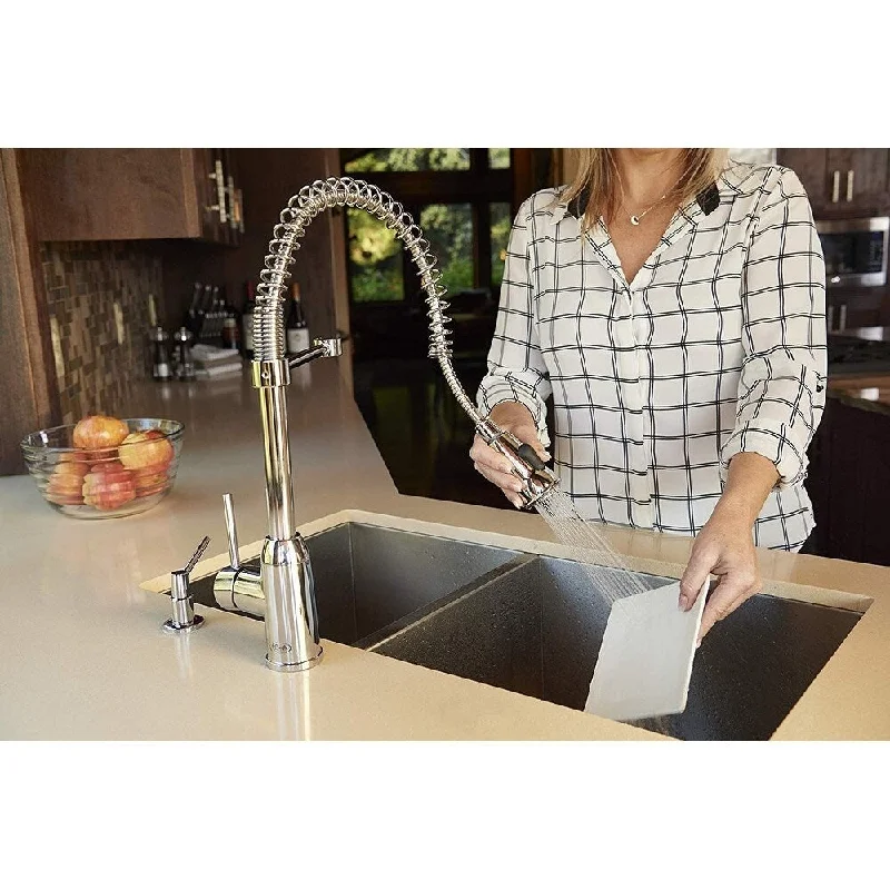 Pacific Bay Rainier Pull-Down Kitchen Faucet